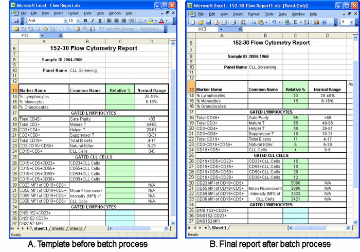 图19.22  An Example Excel (Cell Mode) Report (Excel(单元格模式)报表实例)